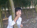 Hnh nh0284